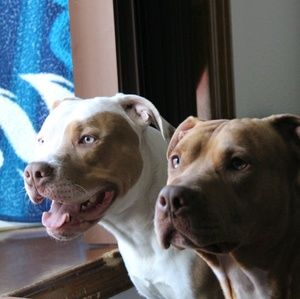 Meet your Posher, Skylar